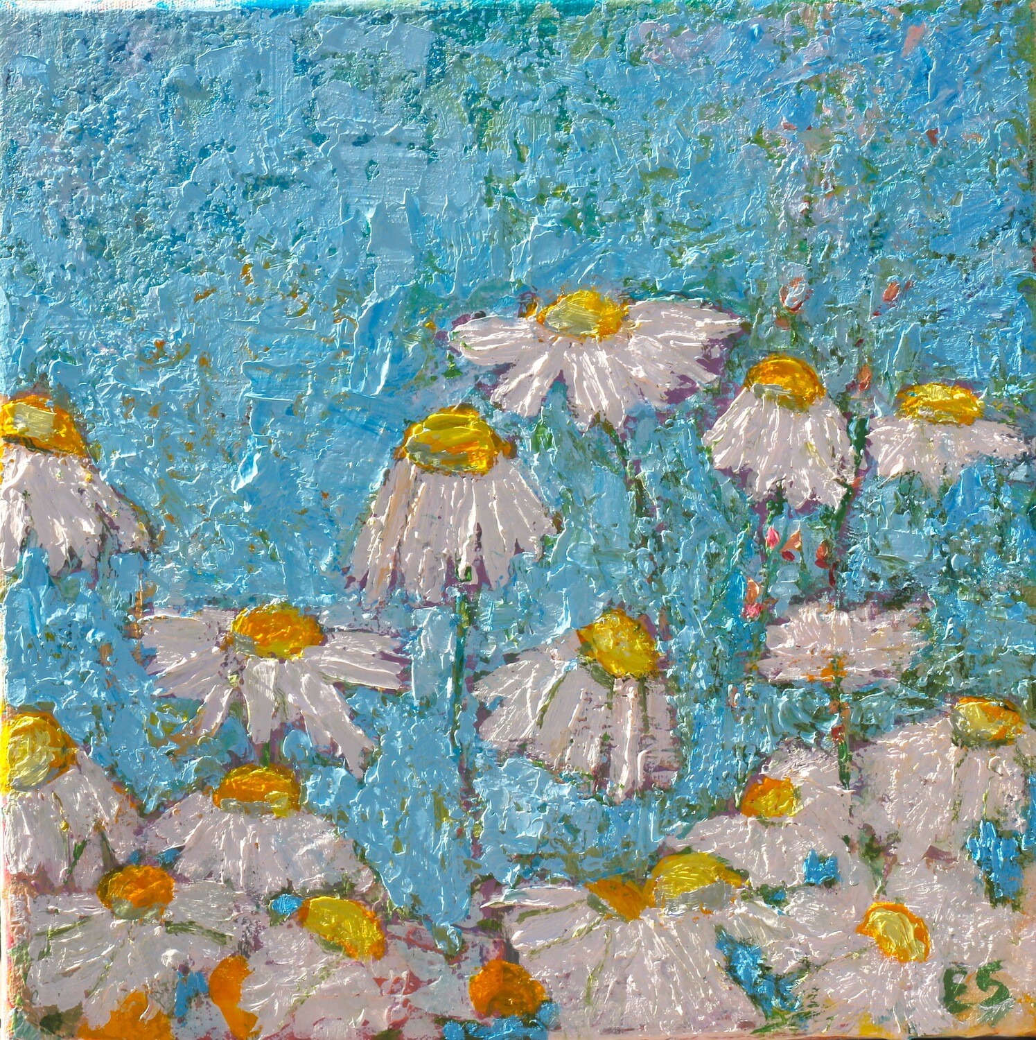 Wall Art, Daisies, Fine Art Print, Giclee Print, Field of daisies, oil painting, canvas, Top Selling