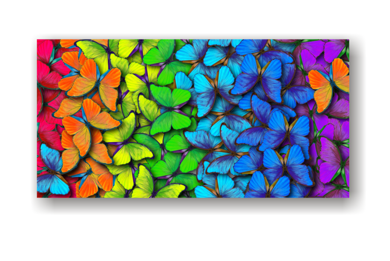 Butterfly Canvas Print