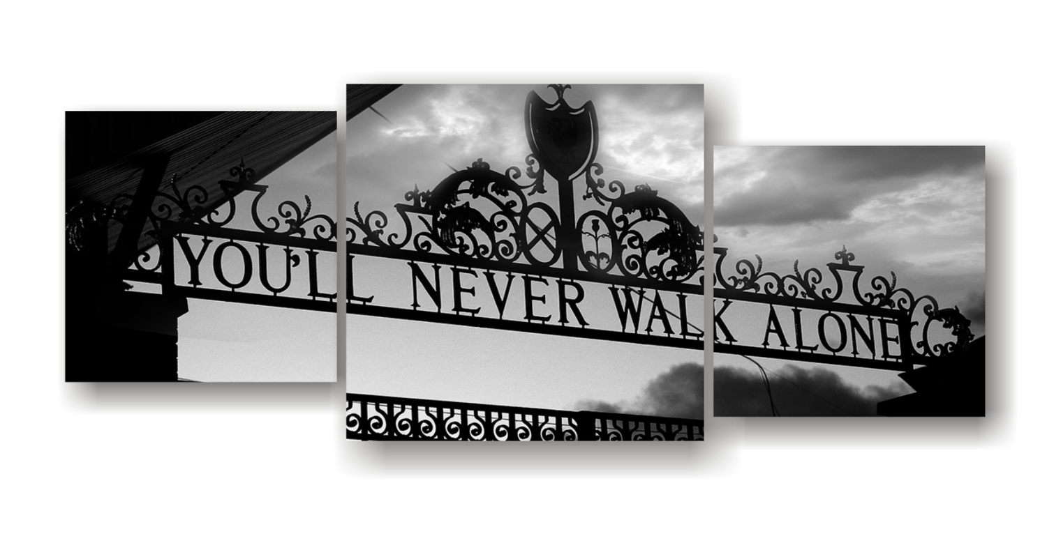 Never Walk Alone - Split Canvas Print