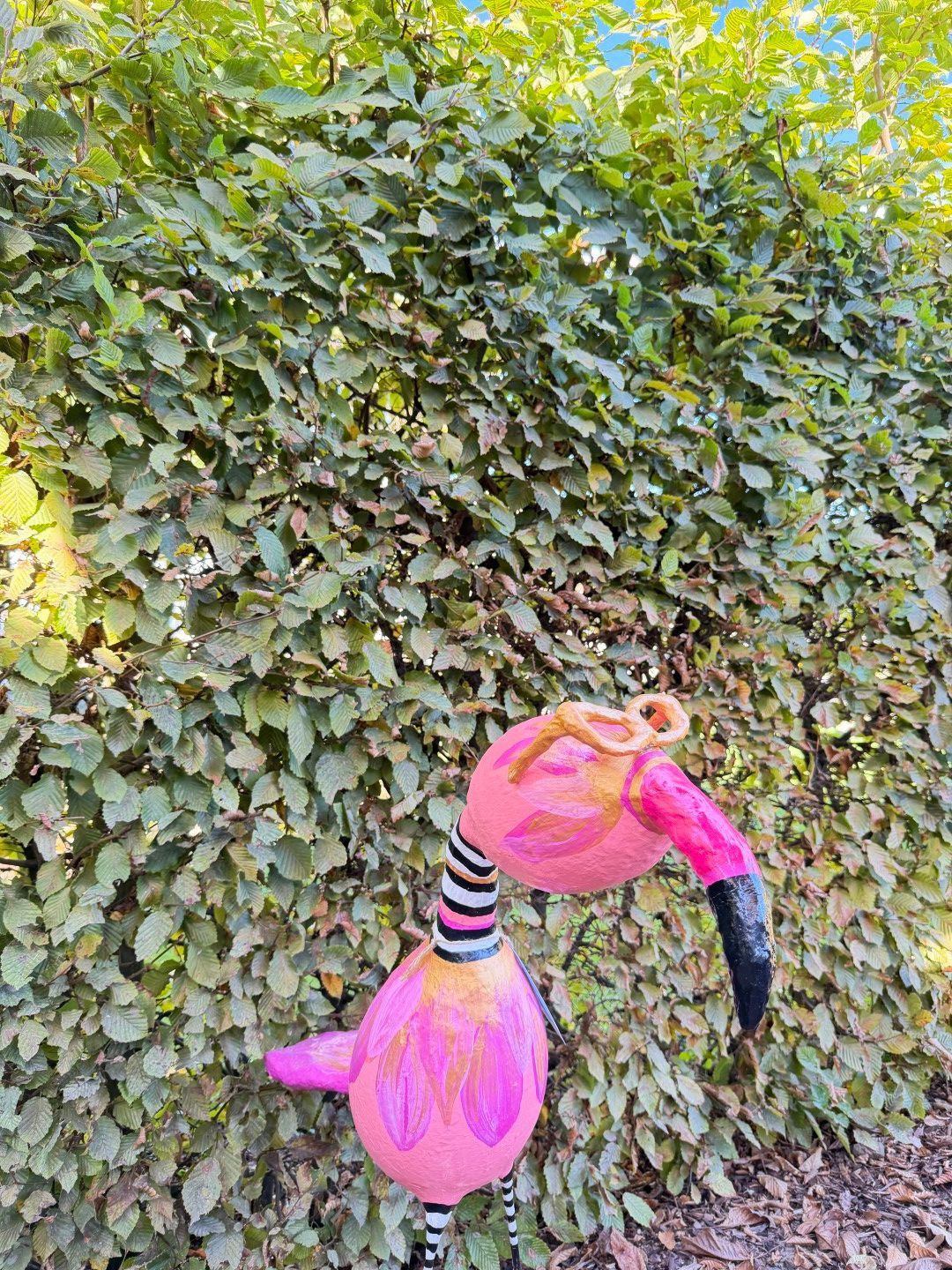 Roze vogel met bril