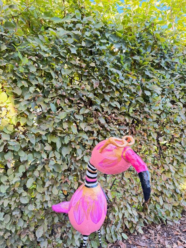 Roze vogel met bril