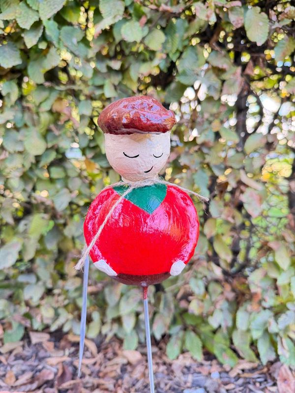 Kleine boer rood