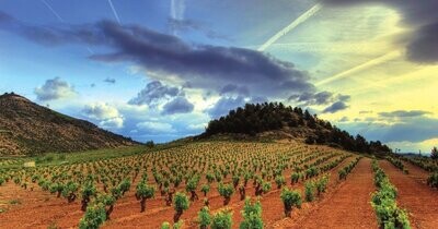 Rioja