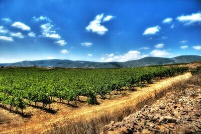 Israel