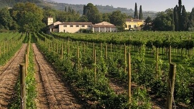 Valpolicella