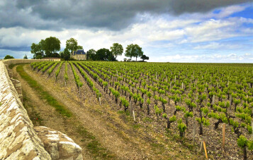 Wine > France > Bordeaux > Pauillac