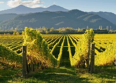 New Zealand