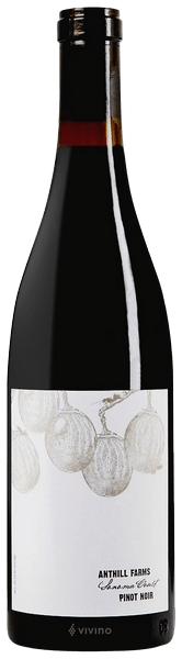 Anthill Farms Sonoma Coast Pinot Noir 2023 (750 ml)