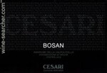 Gerardo Cesari Bosan Amarone della Valpolicella 2013 (750 ml)