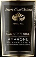 Tenuta Sant&#39;Antonio Campo dei Gigli Amarone della Valpolicella 2017 (750 ml)