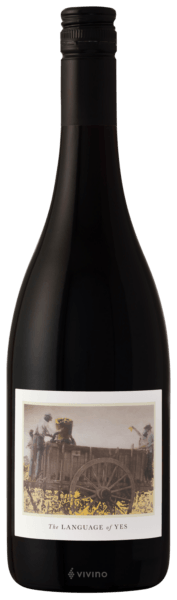 The Language of Yes Syrah 2022 (750 ml)