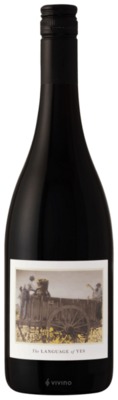 The Language of Yes Syrah 2022 (750 ml)