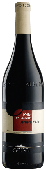 Elvio Cogno Barbera d&#39;Alba Pre-Phylloxera 2022 (750 ml)