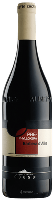 Elvio Cogno Barbera d&#39;Alba Pre-Phylloxera 2022 (750 ml)