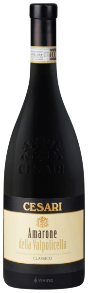 Gerardo Cesari Amarone della Valpolicella Classico 2019 (375 ml)