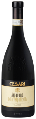 Gerardo Cesari Amarone della Valpolicella Classico 2019 (375 ml)