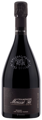 Mousse Fils Les Fortes Terres Meunier Champagne 2019 (750 ml)