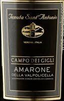 Tenuta Sant&#39;Antonio Campo dei Gigli Amarone della Valpolicella 2018 (750 ml)