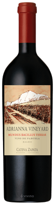 Catena Zapata Adrianna Vineyard Mundus Bacillus Terrae Malbec 2021 (750 ml)