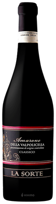 La Sorte Amarone della Valpolicella 2020 (750 ml)