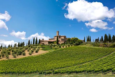 Brunello di Montalcino