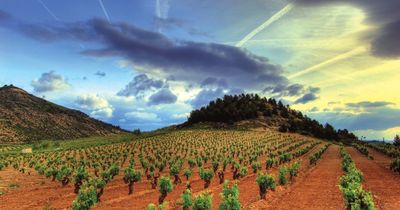 Rioja