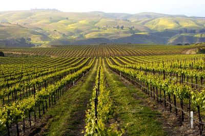 California