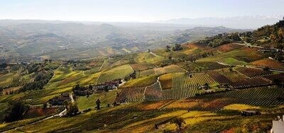 Piedmont