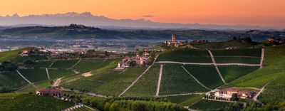 Barbaresco