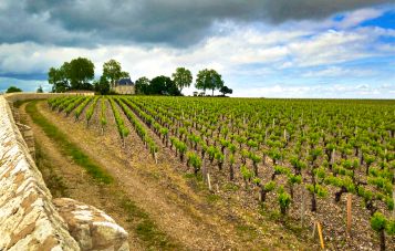 Pauillac