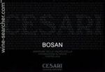 Gerardo Cesari Bosan Amarone della Valpolicella 2015 (750 ml)