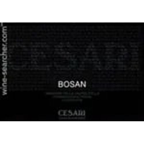 Gerardo Cesari Bosan Amarone della Valpolicella 2015 (750 ml)