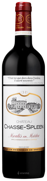 Château Chasse-Spleen Moulis-en-Médoc 2019 (750 ml)