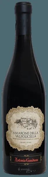Antonio Gaudioso Amarone della Valpolicella 2021 (750 ml)
