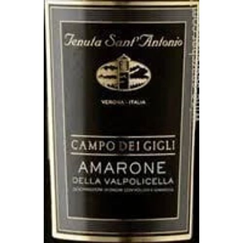 Tenuta Sant'Antonio Campo dei Gigli Amarone della Valpolicella 2018 (750 ml)