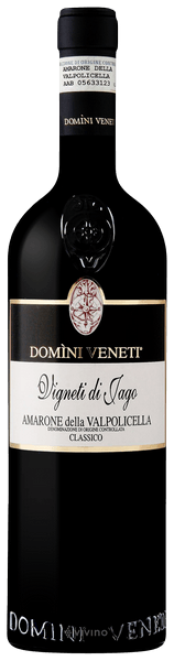 Domini Veneti Vigneti di Jago Amarone della Valpolicella Classico 2015 (750 ml)