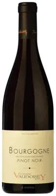 Domaine Vaudoisey Bourgogne Pinot Noir