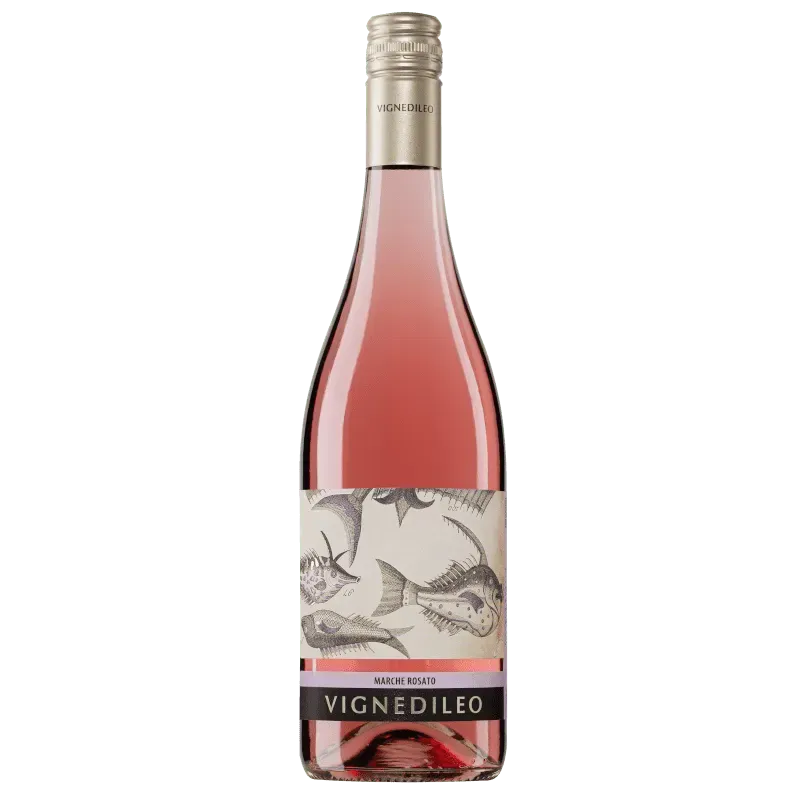 Vignedileo Marche Rosato