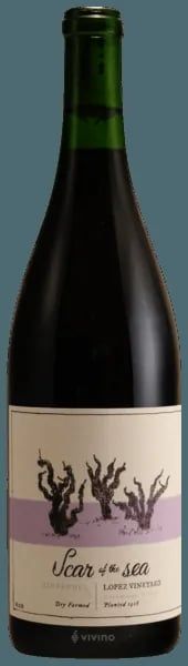Scar Of The Sea Lopez Vineyard Zinfandel 2024 (750 ml)