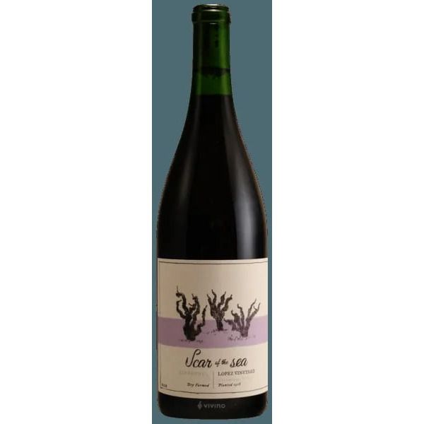 Scar Of The Sea Lopez Vineyard Zinfandel 2024 (750 ml)