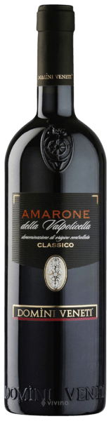 Domini Veneti Amarone della Valpolicella Classico 2019 (750 ml)