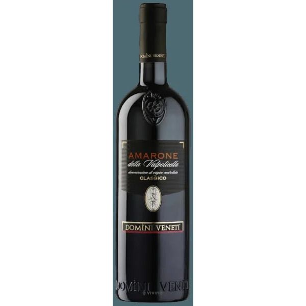 Domini Veneti Amarone della Valpolicella Classico 2019 (750 ml)