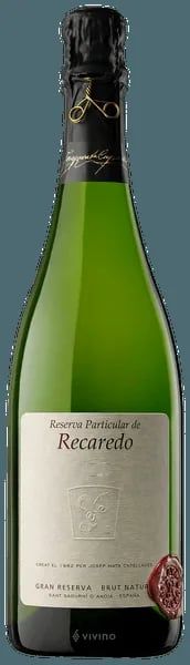 Recaredo Reserva Particular de Recaredo Gran Reserva Brut Nature 2017 (750 ml)