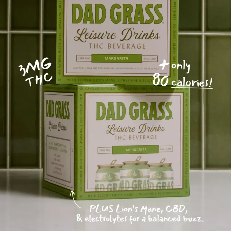 Dad Grass - Leisure Drinks THC - Margarita - 4 pack 12oz cans