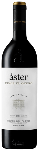 Áster Finca El Otero 2021 (750 ml)