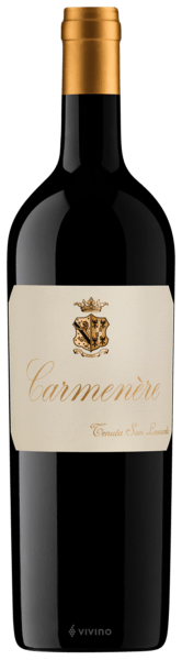 San Leonardo Carmenère 2020 (750 ml)