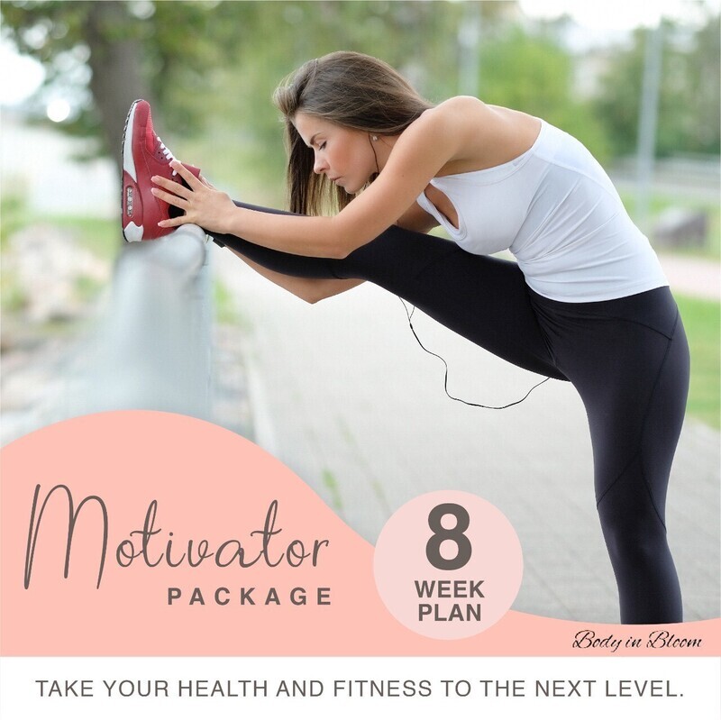 Motivator Package