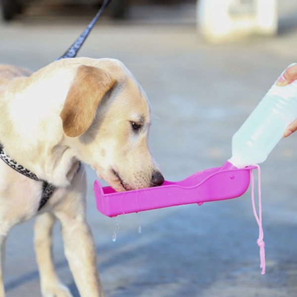 Pet Bottle Dispenser