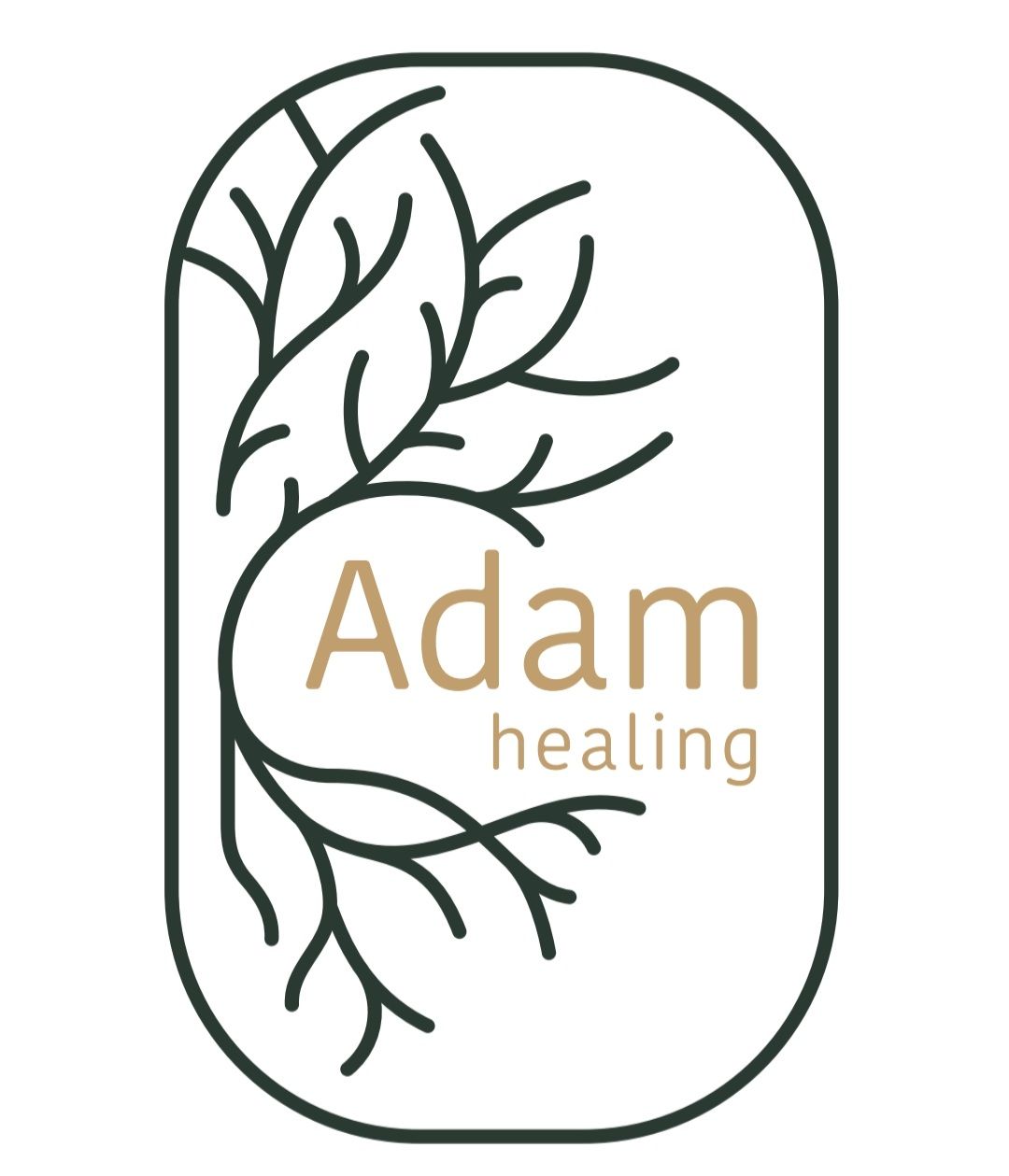 جلسة المتابعة: مسار الشفاء المستمر