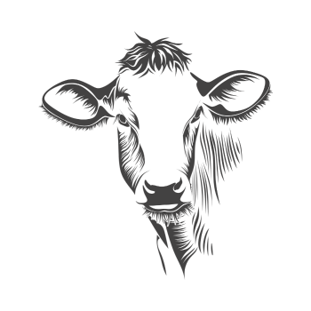 Vaca